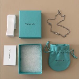 Tiffany & Co. Silver Infinity Necklace with Iconic Blue Packaging